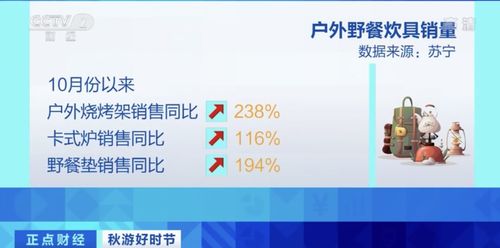 野餐熱潮帶動周邊產(chǎn)品銷量暴增，三河企業(yè)管理訂單火爆排至明年二月